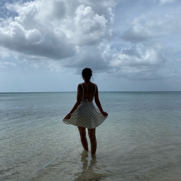 ∞ MEET THE SELLER ∞ - Picture 1 of 1